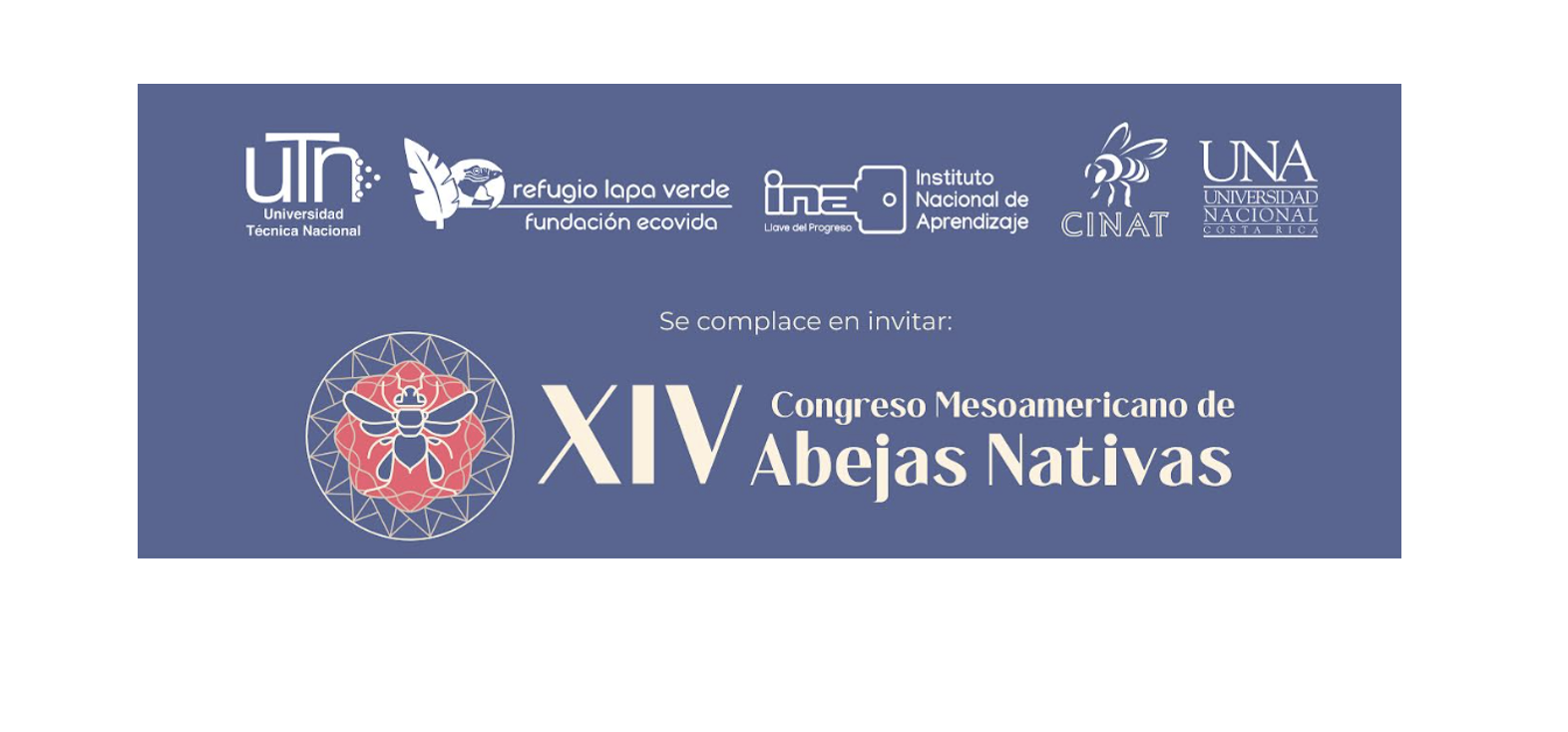 abejas