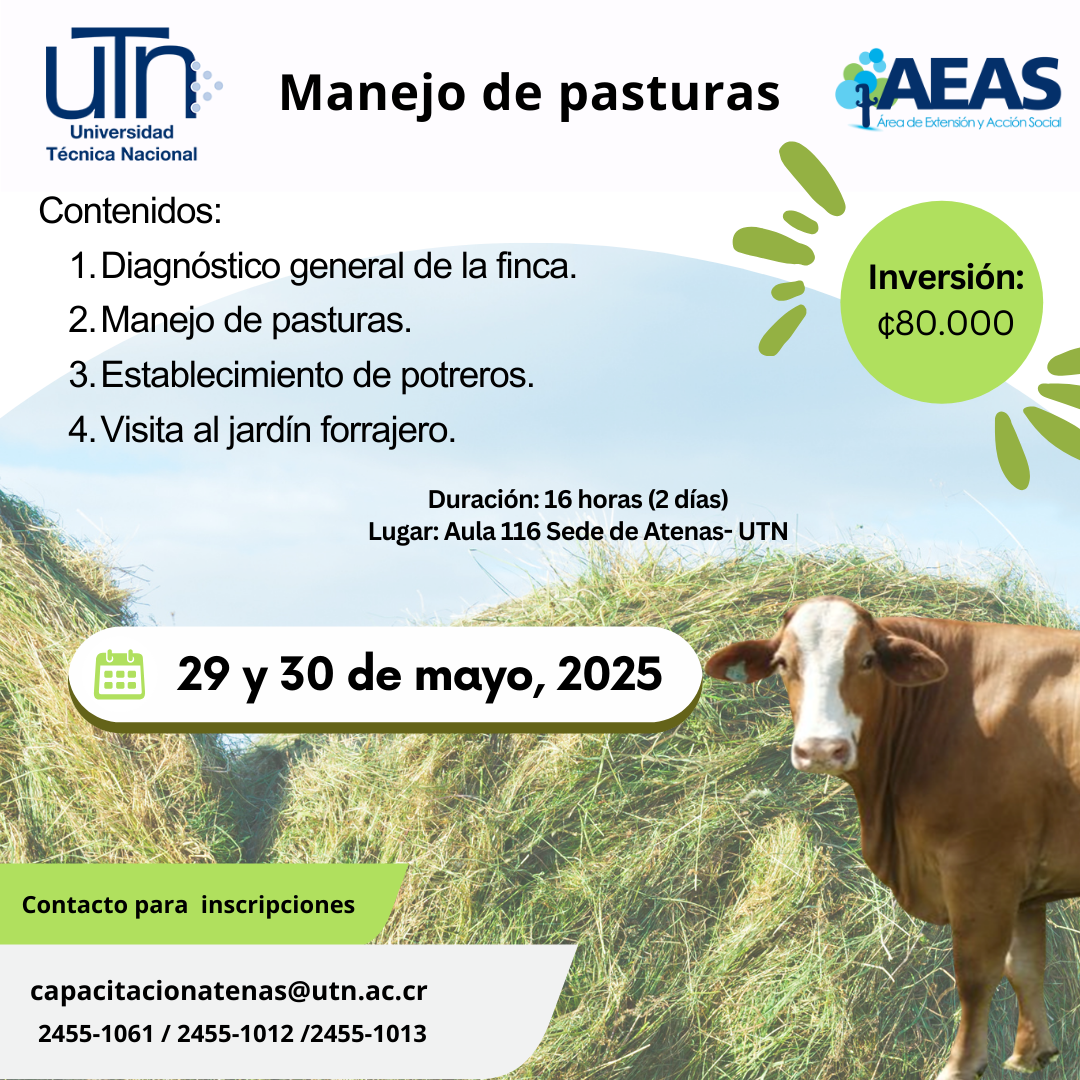 vacas