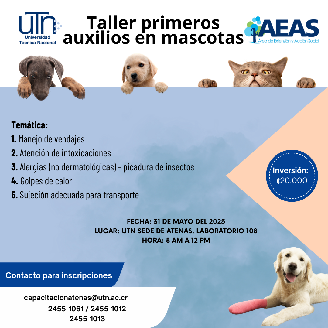 mascotas