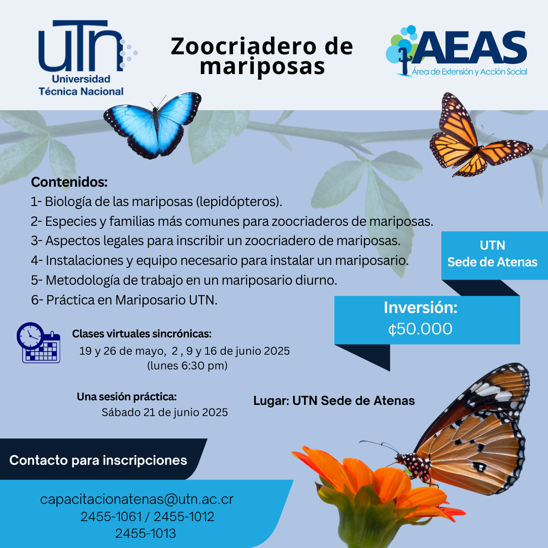 mariposas