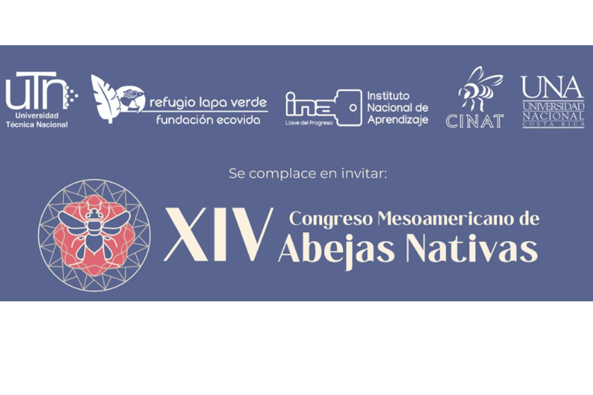 abejas